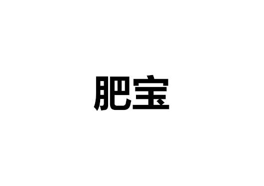 肥宝