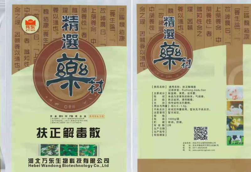 大扶正
